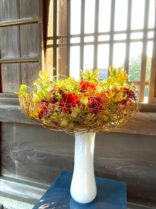 QBst7MoEpRSpIf2EEXl3.jpg?w=940&h=940