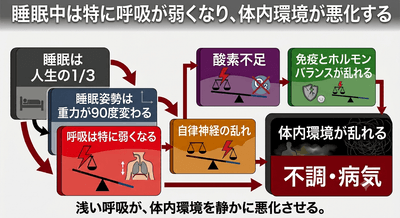 QCcLgPQi1lprubr8ymD5.png?w=940&h=940