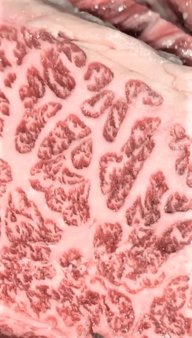 使用部位の例②