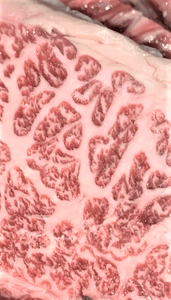 使用部位の例②