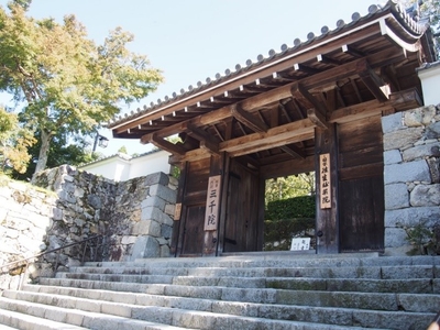 QDIQKAEzUfEerPdn0r8y.jpg?w=940&h=940