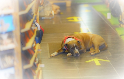 QDoA3Fqubi9wPye72J2e.jpeg?w=940&h=940