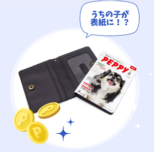 QF5Jxgt3WB1mLLwh369W.png?w=940&h=940