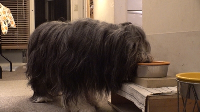 QHDAYHfHo5BQRwdl1EZw.jpg?w=940&h=940