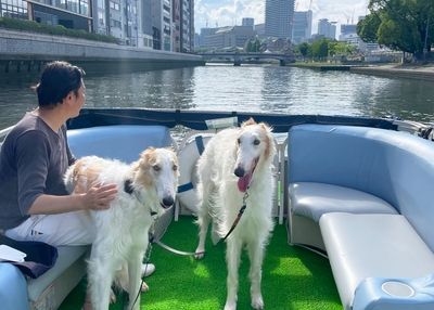 QHQF4CNe0hASCKXsUgJW.jpg?w=940&h=940