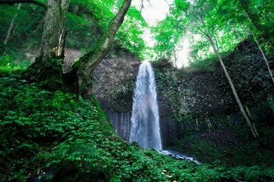 QHbKkoPBqRWhunM9xe07.jpg?w=940&h=940