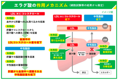 QIoWbhFIhBKdtbQetvyg.png?w=940&h=940