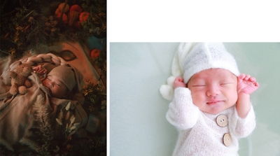 写真：ライフスタジオ