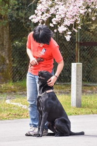 QJ05rGUvQUx0lMeotoik.jpeg?w=940&h=940