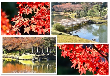 旧芝離宮庭園「秋の旧芝離宮～伝統芸能に親しもう～」11月１日（土）～11月３日（月・祝）開催