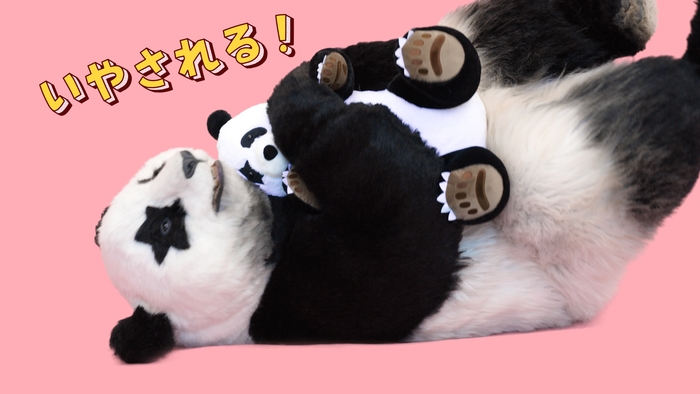 PCクッション 星星(セイセイ)(3)