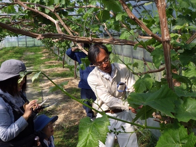 QJol4NKg8PooKLOkwpQf.jpg?w=940&h=940