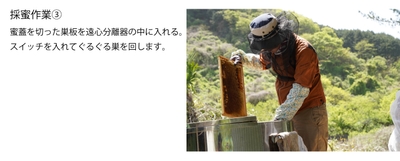 QJulxQZXOK6U6WVDOr9A.jpg?w=940&h=940