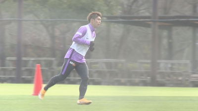 QJy8z5OHJ7sddDULErJn.jpg?w=940&h=940