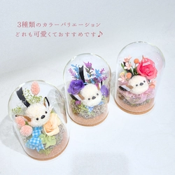 Xで話題沸騰のシマエナガシリーズに新色登場！ プリザーブドフラワーの新しいギフトを数量限定で販売開始