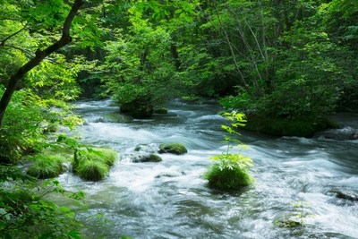 QLJFw3TuHukAYC0RExUz.jpg?w=940&h=940