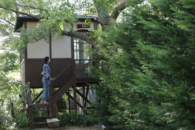 竹や山野草が茂る敷地内にはビオトーブの池や読書棟なども