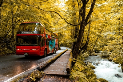 QNz4niCQsoQZz46lXbab.jpg?w=940&h=940