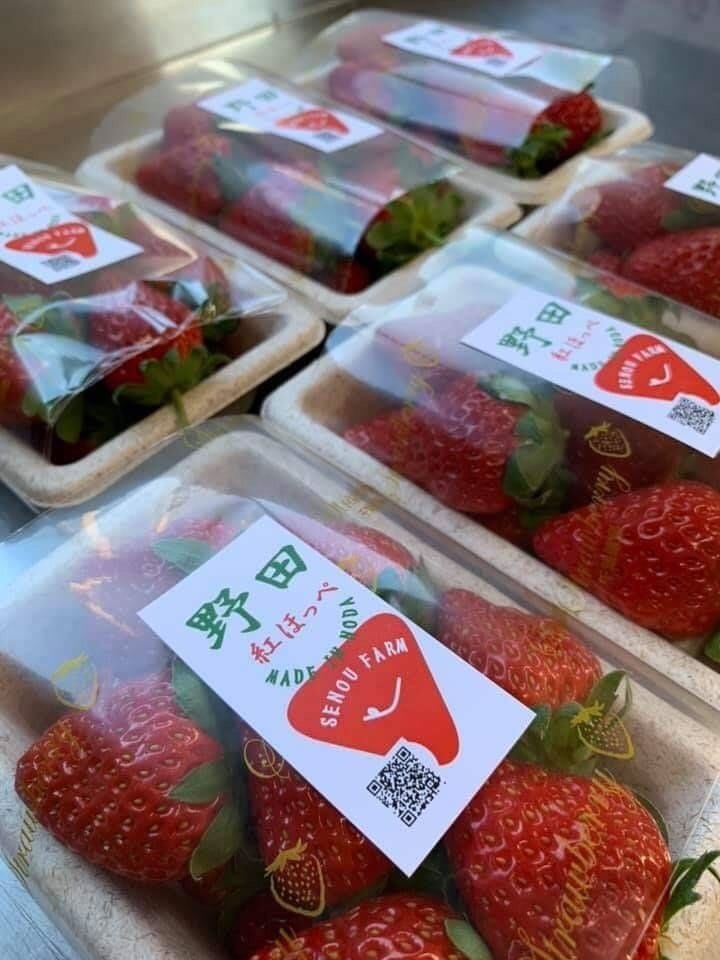 SENOU FARMのあま~いイチゴはクリスマスケーキに!