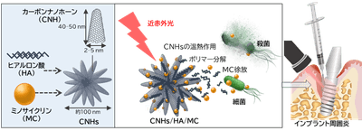 本研究の概要図