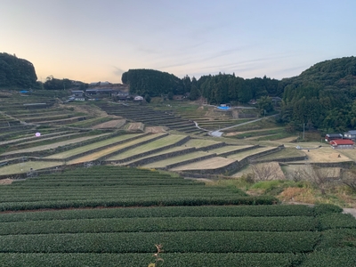 QPwNjAWA8VBr8K7eHUiW.JPG?w=940&h=940