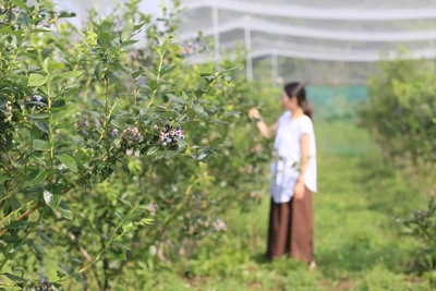 QQOjkrBWfkqf2tZpieL6.jpg?w=940&h=940