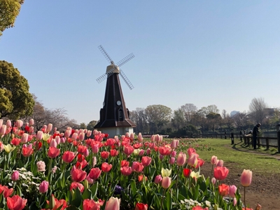 QRGRgpTA2Xljk0pJXSma.jpg?w=940&h=940