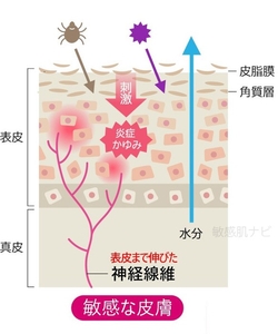 QRcd8EpZSQveGGYRLi7e.jpg?w=940&h=940