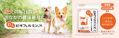 ついにビオフェルミンから、わんちゃん用・ねこちゃん用サプリメントが新発売