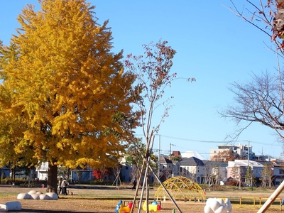 QWtKuHuXxF8saOLk5SP2.jpg?w=940&h=940