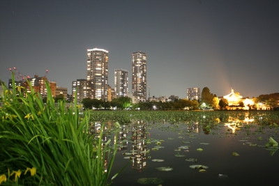 QWv8PtqrWYR4Eo8GmXQt.jpg?w=940&h=940