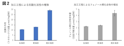 QX06XJS7f6wdU0Mm95AX.jpg?w=940&h=940