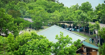 QXIASkinvDBd4hEhQyyn.jpg?w=940&h=940