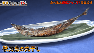 QXmGgNj9ZGH2H91v5GHt.png?w=940&h=940