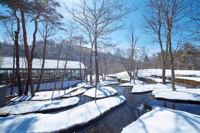 QY6DdqOEP15wJcie72qQ.jpg?w=940&h=940