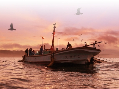 QYqsHBW6Jsmc056YUOGX.jpg?w=940&h=940