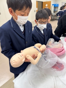 QaDa4ljPmwZbSqlmuS2r.jpg?w=940&h=940