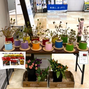 QavtYiOwBiZM6dOCKaUE.jpg?w=940&h=940