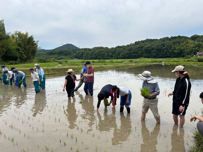 【農業（米づくり）】