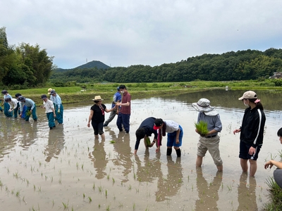 【農業（米づくり）】