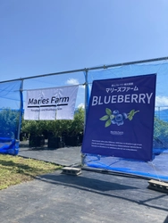 ＜新潟県魚沼市＞ いつもとは一味違った夏の便り　 夏のおすすめスポットをホームページで公開！ ～夏を彩るブルーベリー狩りと万年雪～