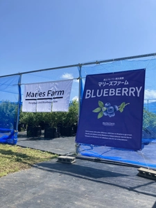 ＜新潟県魚沼市＞ いつもとは一味違った夏の便り　 夏のおすすめスポットをホームページで公開！ ～夏を彩るブルーベリー狩りと万年雪～