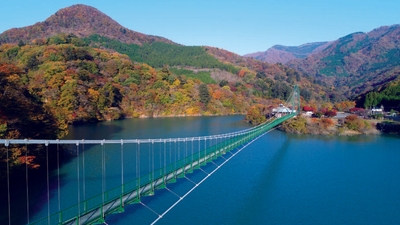 ［写真：もみじ谷大吊橋の紅葉］