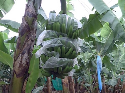 Qd9vyfSXZDRorOlhmGkh.jpg?w=940&h=940