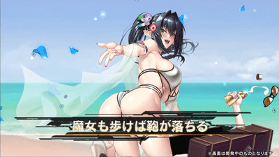 奥義発動画面
