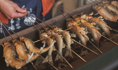 QfFhUf2fc9E8dUaqYSPe.jpg?w=940&h=940