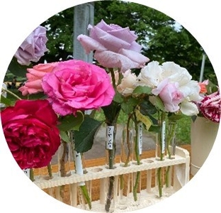 QfOrXDurC8vRvZ3mvBVj.jpg?w=940&h=940