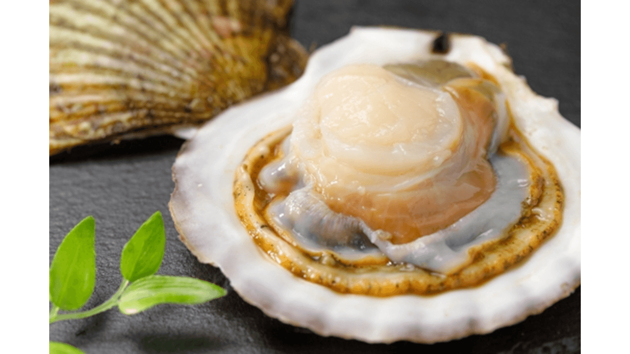 還元率入り!ふるさと納税でもらえる「帆立(ホタテ)」を徹底調査