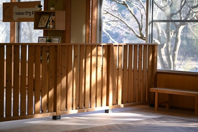 QgZI4bTzPLHO6ec9LurU.JPG?w=940&h=940