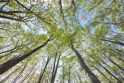 QhUrOqlYRP3sjyncsYpe.jpg?w=940&h=940